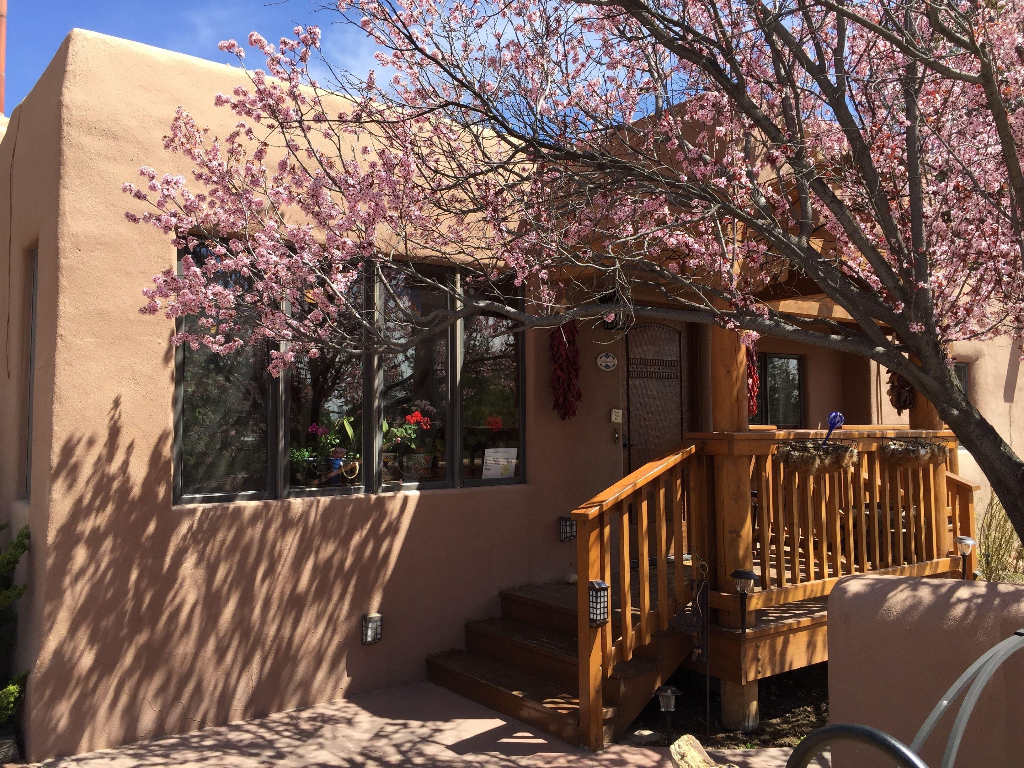 Casa Cuma Couette-café 3*